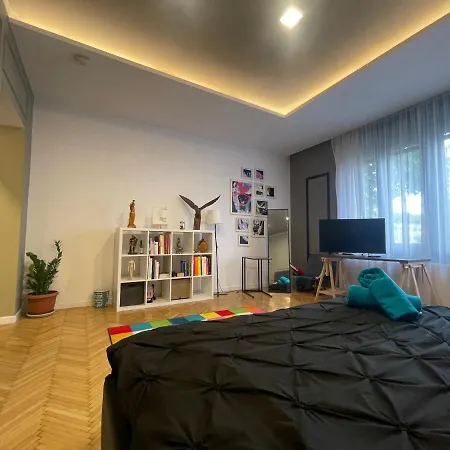Apartment New Opera Studio Old City Center Self Check In Timisoara