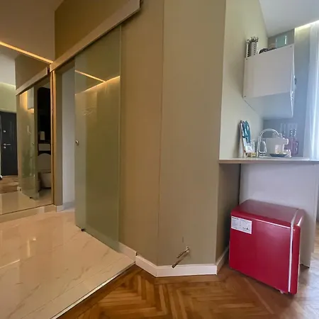 Apartment New Opera Studio Old City Center Self Check In Timisoara
